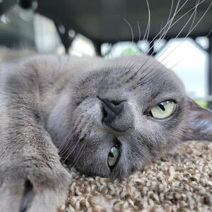 Meet your Posher, Miyagi